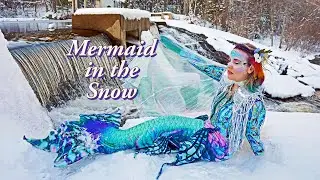 Mermaid in the Winter Snow - Mertailor and Slipins Abalone