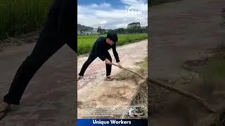 Road cleaning: people removing dirt and debris from the side of a road with a hoe