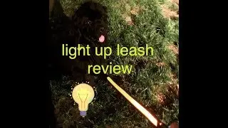 We were given a light-up leash to review - SPOILER: I wouldn't buy it!