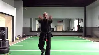 Marinoble&rsquo;s Bok Fu - Self Defense Techniques Review - Purple