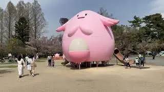 A Tour of Kaiseisan Park in Koriyama, Fukushima Prefecture on April 19, 2025