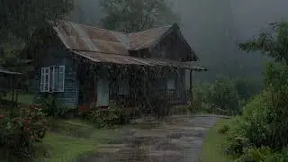Relaxing rainfall improving calm focus lowering stress promoting peaceful deep rest