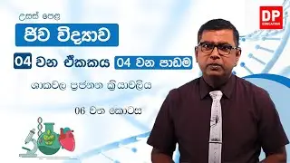 04 වන ඒකකය | 04 වන පාඩම - ශාකවල ප්‍රජනන ක්‍රියාවලිය - 06 වන කොටස | උසස් පෙළ ජිව විද්‍යාව