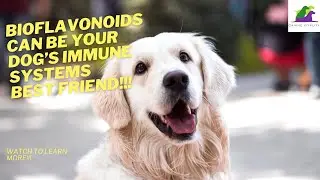 Bioflavonoids can be your dog's immune systems Best Friend!