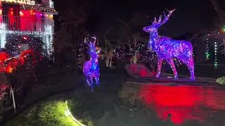 Check out Lakewood Holiday Home Decorations