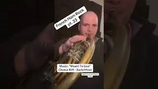 Meant to live switchfoot french horn cover