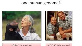 DNA Variants Part I