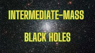intermediate mass black holes