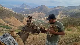 Nos fuimos alos Guajes de serro en burro, aya por los serros del tinoco  Guerrero regi&oacute;n Tierra cali