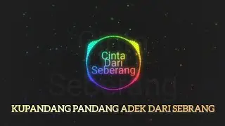 Dj tiktok terbaru 2025 kupandang pandang adek dari sebrang