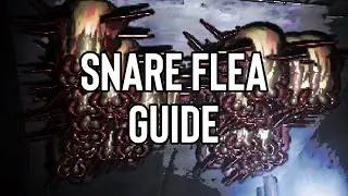 How do I solo a Snare Flea?