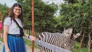 Poti mangaia si hrani animalute aproape de Cluj-Napoca!