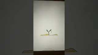 beauty always dies animation