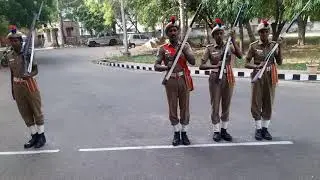 TURN OUT GUARD NGT AR 2018
