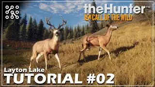 Lovecký tlak a zóny potřeb #02 | The Hunter: Call of the wild CZ  | Lets play | Česky