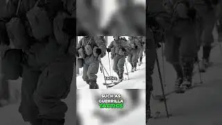 Finnish Winter War: Mannerheim's Genius Tactics