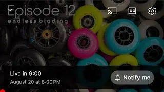 Endless Blading Show Episode 12: The Wheel Show!