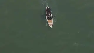 Surfing Federation of India