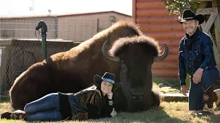 Cowboy Couple Live In House With A Buffalo
