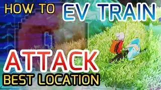 EV Training Sword and Shield Guide - Learn How to Ev Train Attack