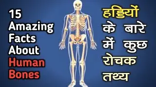 Amazing facts about human bones in hindi !! हड्डियों के बारे मे 15 रोचक तथ्य