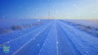 Snow Falling on a Quiet Road ❄️ Windy Winter Ambience & Snow Footsteps | 6 Hours