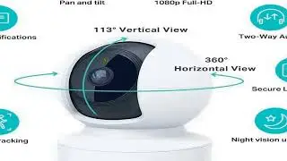 Best pet cameras 2023
