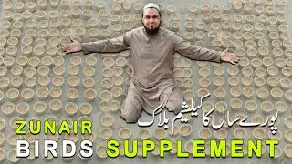 Zunair Birds supplements|Calcium block|zunair birds