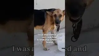 The story of Chance&rsquo;s second chance 🥰❤️