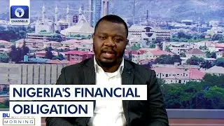 Can Debt-For-Nature Swap Solve Nigeria's Debt Challenge