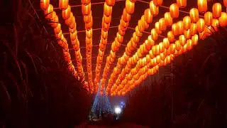 【カメラテスト】光 Hikari a Festival of Lights @Tanaka Farms #lumix  #tanakafarms #zhiyun