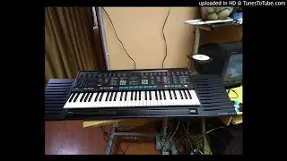 Yamaha psr-4600 styles