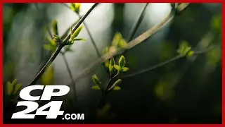 How does spring impact people's mental health