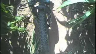 The Cornology of Schaeffer Farm trails