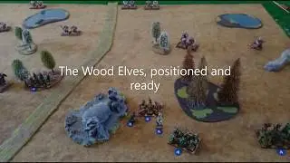 Wood Elves vs Ogres. 