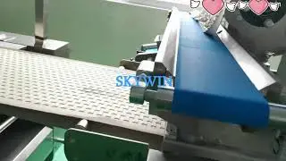 Skywin Hello Panda biscuit production line