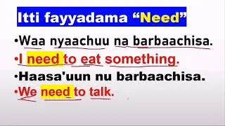 Barnoota Afaan Oromoo fi English guutuu isaa @Basic English OC