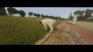 Rufo y chica en el parque Vega de Triana 