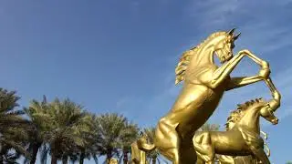 Art + Horse And Crow