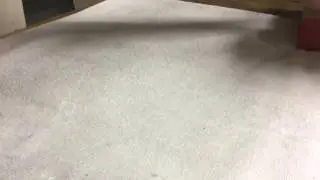 2017 QUARTER! -Coin Roll Hunting-