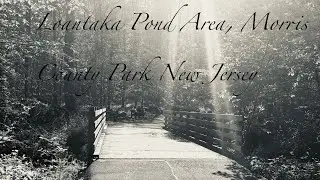 [Walk-through] Loantaka Pond Area, Morris County Park New Jersey