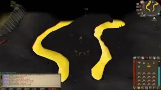 5th Elite Treasure Trail OSRS Clue Scroll