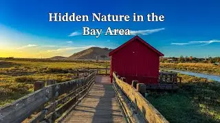 Exploring Don Edwards San Francisco Bay National Wildlife Refuge | Fremont, California