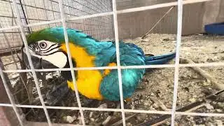 They are so happy due to morning 