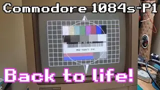 Bringing a Commodore 1084S-P1 back to life!