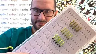 Nymph&eacute;volution &agrave; l'atelier #13 &ndash; Gamme de nymphes &laquo;  Barbeau au pompon &raquo; quasi finie 🍔 🍔 🍔