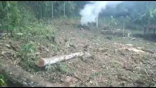 SURFAI LOKASI 