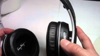 Fanny Wang Dj 2001 First Impressions