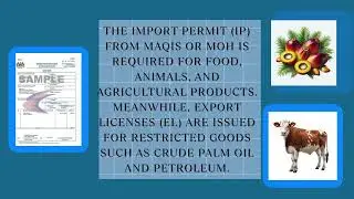 Import & Export Procedures in Malaysia (DLM09230022) 