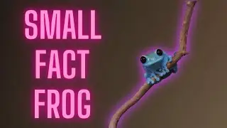 Small fact frog - meme compilation